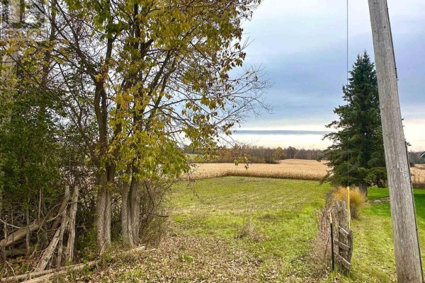 1231 Atchison Road, Otonabee South Monaghan, ON K0L1V0 Photo 2