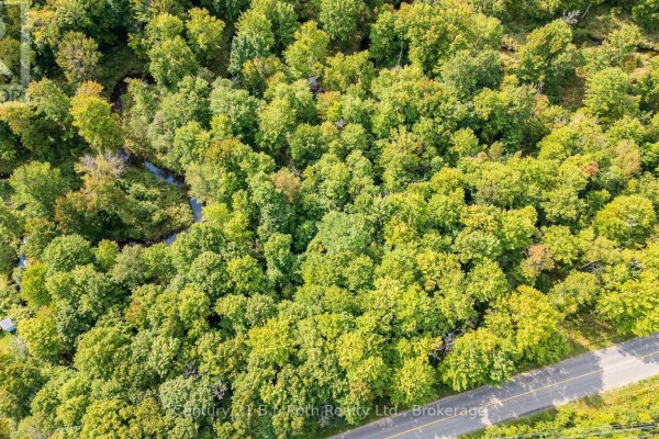 1233 Beiers Rd, Gravenhurst, ON P0E1N0 Photo 4