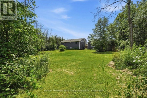 Backyard with lawn, dark grey house, shed, and trees - 1233 Lazier Road Tyendinaga