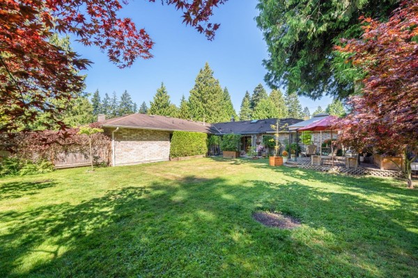 Backyard of the duplex with a large green lawn, patio area, and mature trees. - 12332 24 Avenue, Surrey