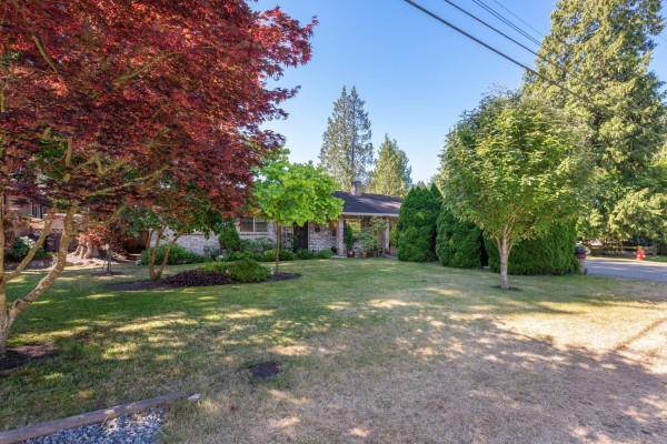 Sunny front yard with manicured lawn, diverse trees, and a view of the duplex. - 12332 24 Avenue, Surrey