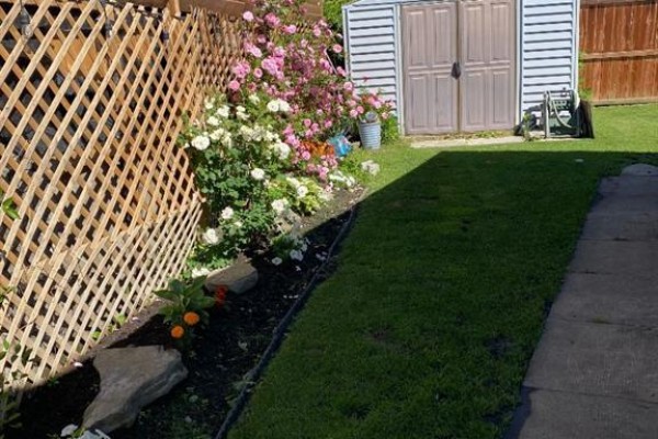 124 Big Springs Drive Se, Airdrie, AB, photo 3