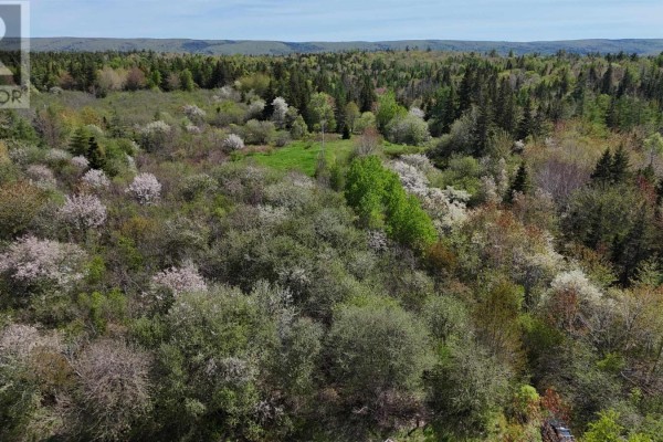 124 Stoney Point Rd, Orangedale, NS B0E2M0 Photo 2