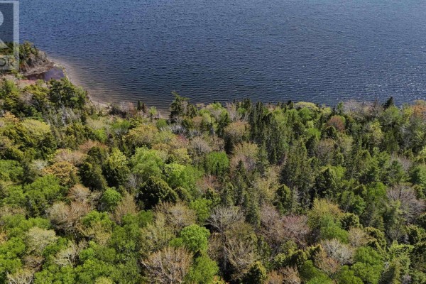 124 Stoney Point Rd, Orangedale, NS B0E2M0 Photo 3