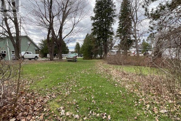 124 Wilson Lake Road, Parry Sound Remote Area, ON P0H1Y0 Photo 4