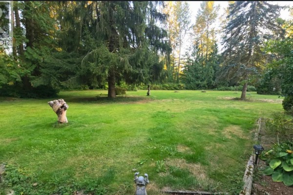 12406 254 Street, Maple Ridge, BC V4R1V2 Photo 3