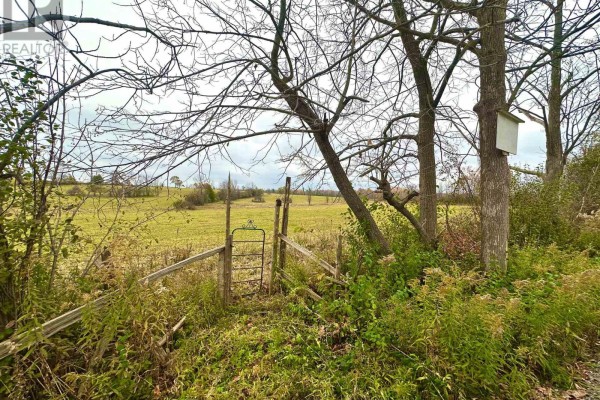 1243 Atchison Road, Otonabee South Monaghan, ON K0L1V0 Photo 3