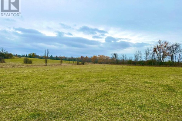 1243 Atchison Road, Otonabee South Monaghan, ON K0L1V0 Photo 4