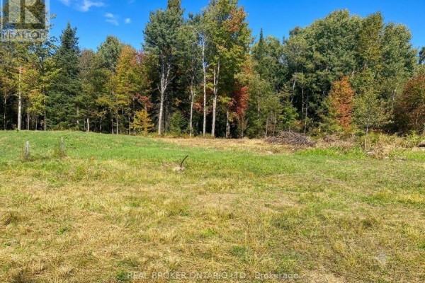 1248 Beiers Road, Gravenhurst, ON, photo 3