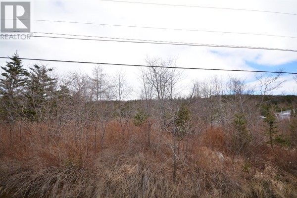125-127 Red Bridge Road, Conception Bay South, NL A1X6V3 Photo 3