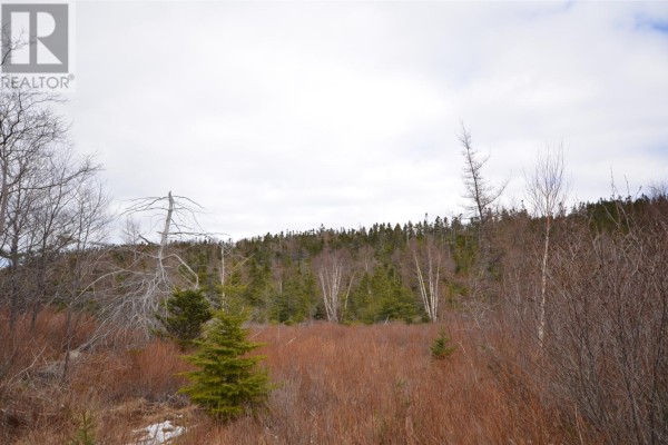 125-127 Red Bridge Road, Conception Bay South, NL A1X6V3 Photo 4