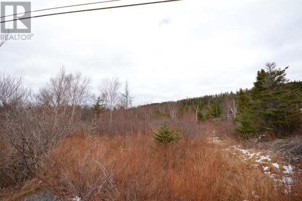 125-127 Red Bridge Road, Conception Bay South, NL A1X6V3 Photo 5