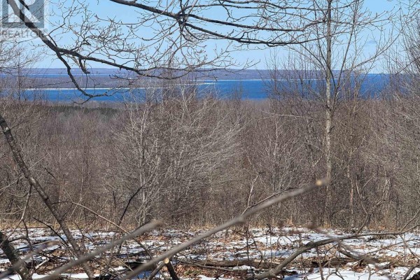 125 Graham's Hill Road, Georgian Bluffs, ON, photo 3