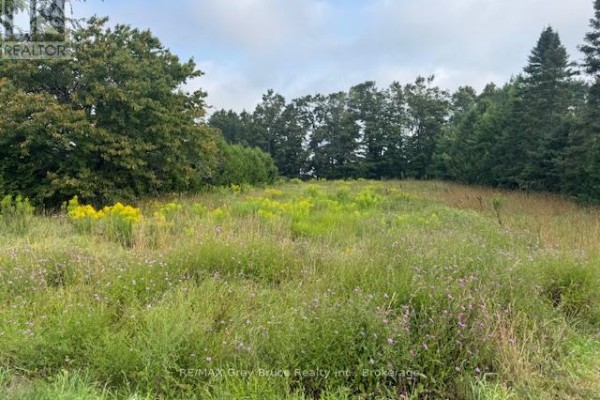 Overgrown meadow with yellow and purple wildflowers and mature trees in the background. - 125 Graham's Hill Road, Georgian Bluffs