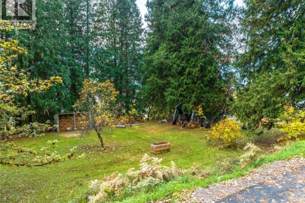 125 Maple Street, Revelstoke, BC V0E2S0 Photo 2