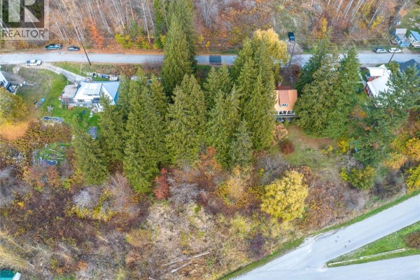 125 Maple Street, Revelstoke, BC V0E2S0 Photo 5