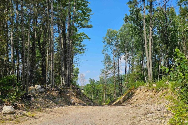1251 Snake Creek Road, Mattawan, ON, photo 2