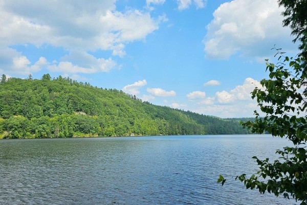 1251 Snake Creek Road, Mattawan, ON, photo 3