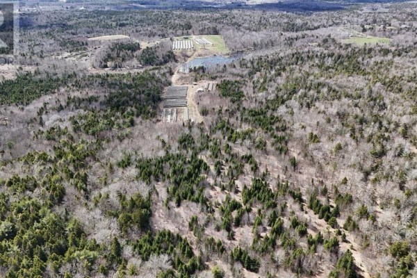 1253 Hilltown Road, Hilltown, NS B0W3T0 Photo 3
