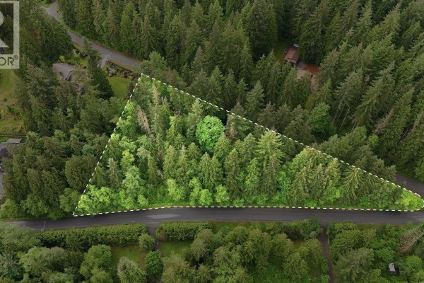 12540 Blue Mountain Crescent, Maple Ridge, BC V2W1N7 Photo 3