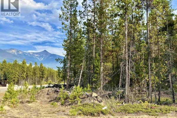 1255 18th Avenue, Valemount, BC V0E2Z0 Photo 5
