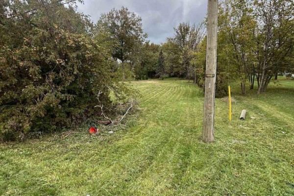 1256 County Road 22 Road, Lakeshore, ON N0R1C0 Photo 4