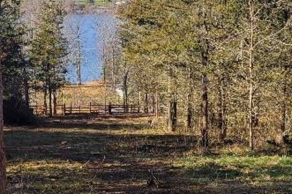 12577 Loyalist Parkway Ne, Prince Edward County, ON K0K2T0 Photo 4