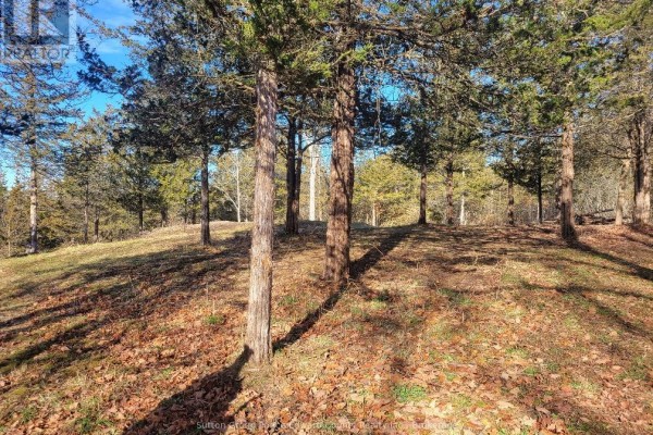 12577 Loyalist Parkway Ne, Prince Edward County, ON K0K2T0 Photo 5