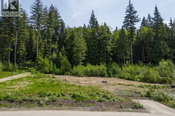 12582 271 Street, Maple Ridge, BC V2W1C2 Photo 3