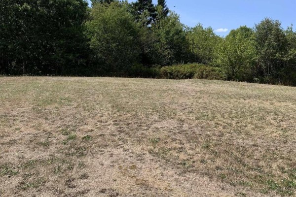 126 Belleville South Road, Tusket, NS B0W3M0 Photo 4