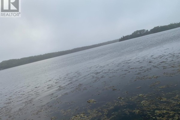 126 Belleville South Road, Tusket, NS B0W3M0 Photo 5