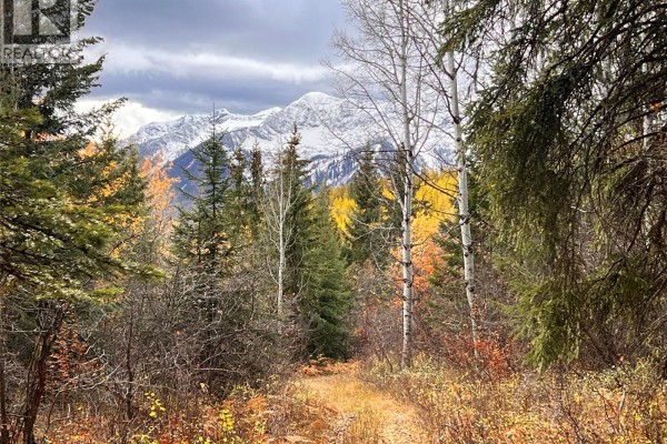 126 Burma Road, Fernie, BC V0B1M0 Photo 5