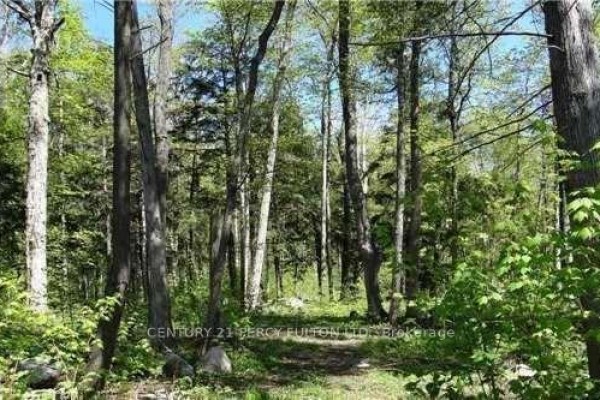 122 Nippissing Ridge Road, Tiny, ON, photo 2