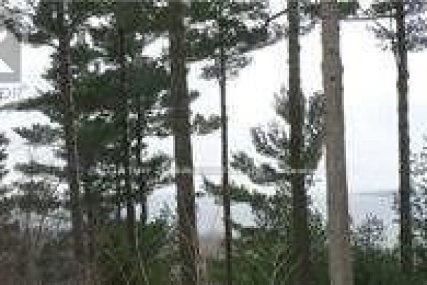 122 Nippissing Ridge Road, Tiny, ON, photo 3