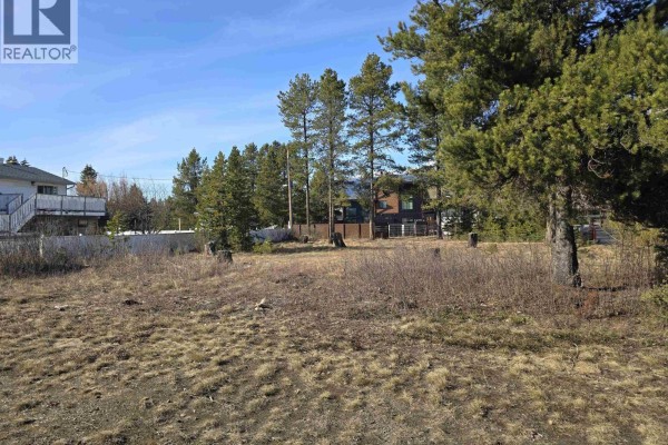 1260 4th Avenue, Valemount, BC V0E2Z0 Photo 4