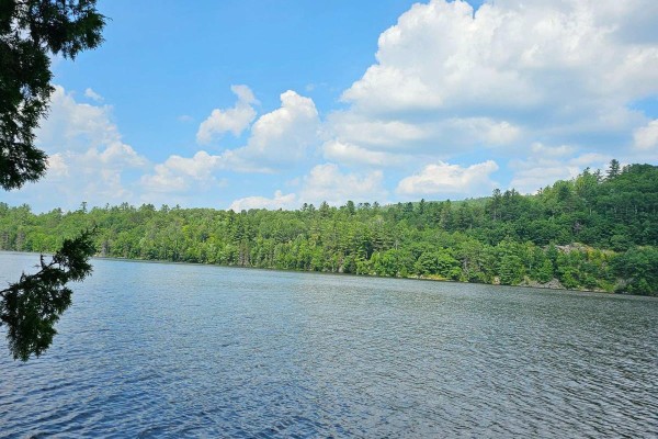 1261 Snake Creek Road, Mattawan, ON, photo 3
