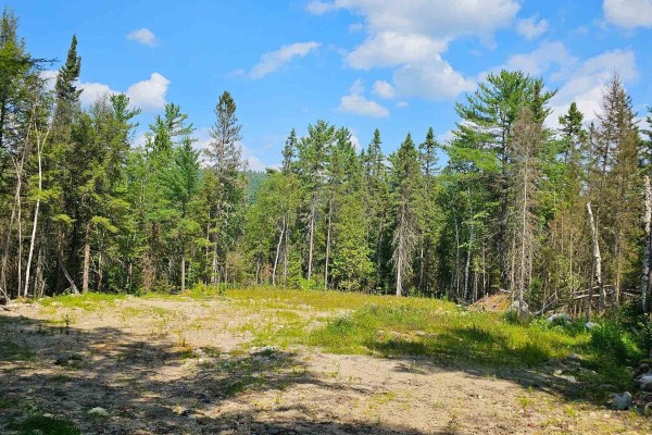 1261 Snake Creek Road, Mattawan, ON P0H1V0 Photo 4