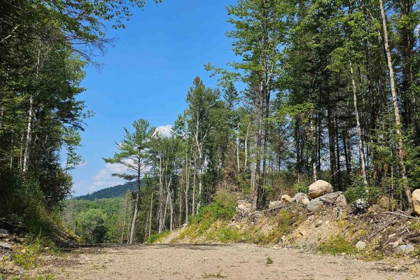 1261 Snake Creek Road, Mattawan, ON P0H1V0 Photo 5