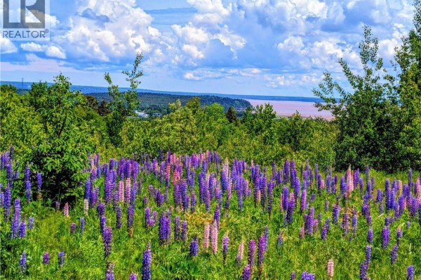 1266 Albert Mines Road, Lower Cape, NB E4H1X1 Photo 2