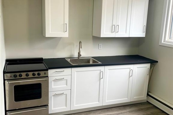 127 Ann Street, Kitchener, ON N2B1Y2 Photo 4