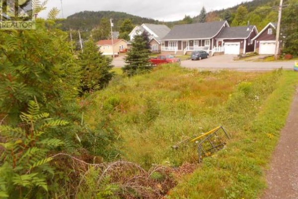 127 Bayview Road, Springdale, NL A0J1T0 Photo 4