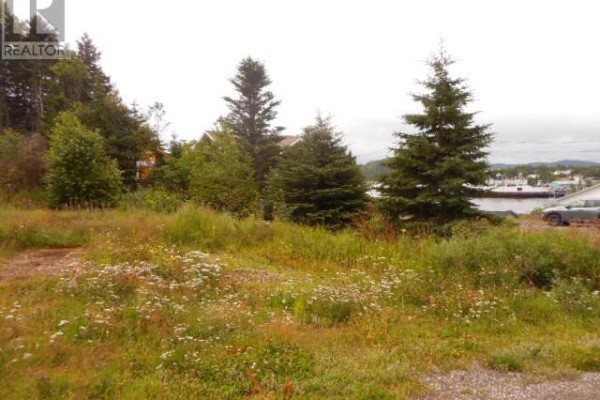 127 Bayview Road, Springdale, NL A0J1T0 Photo 5