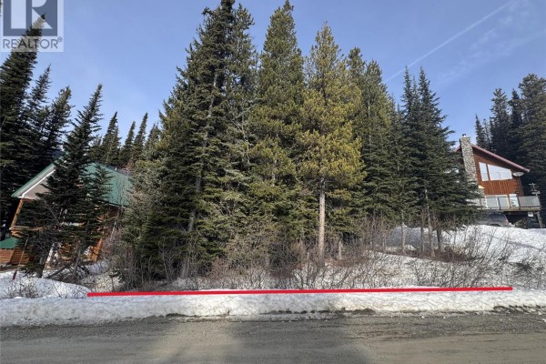 A paved road with snowbanks leads through a forested area with houses and power lines. - 127 Wapiti Creek Road, Oliver