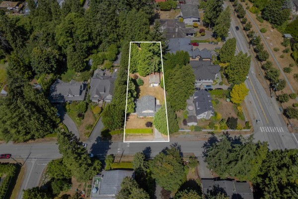 Aerial view of a suburban neighborhood with houses nestled among tall trees. - 12765 22 Avenue, Surrey