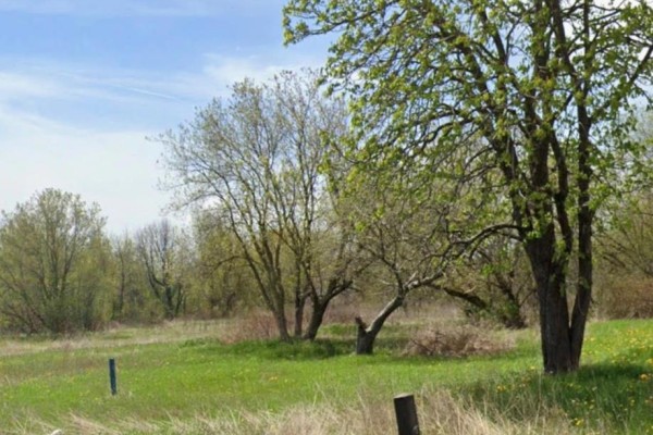 12838 Ninth Line, Whitchurch Stouffville, ON L4A7X3 Photo 2