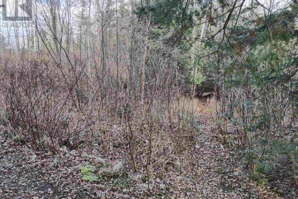1290 Piccard Avenue, Thunder Bay, ON P7L0H0 Photo 2