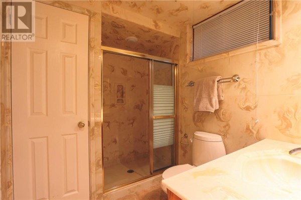 Bathroom with sliding glass shower, toilet, and vanity - 1295 Gemmell Street Sudbury