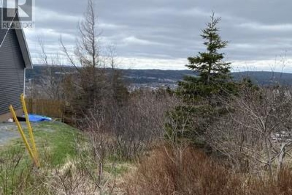 129a English Hill Road, Carbonear, NL A1Y1A8 Photo 4
