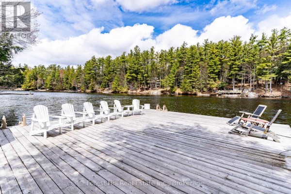 Family room - 13-1630 Muskoka District Road 38 Road, Muskoka Lakes, ON P0C1A0 Photo 4