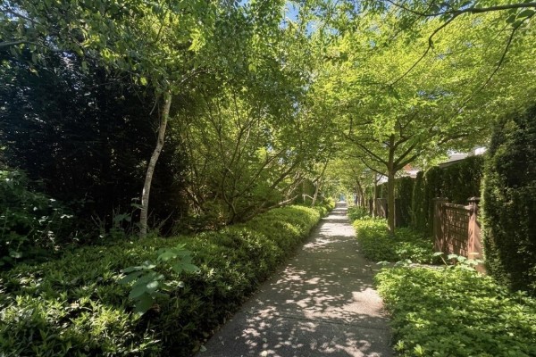 13 2978 159 Street, Surrey, BC V3Z0R1 Photo 3